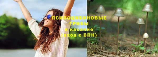 ECSTASY Каменка