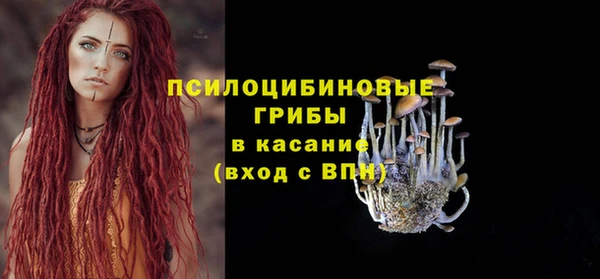 mdpv Каменск-Шахтинский