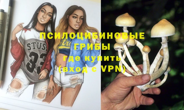 дурь Инсар