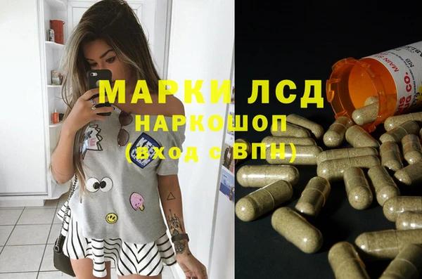 дурь Инсар